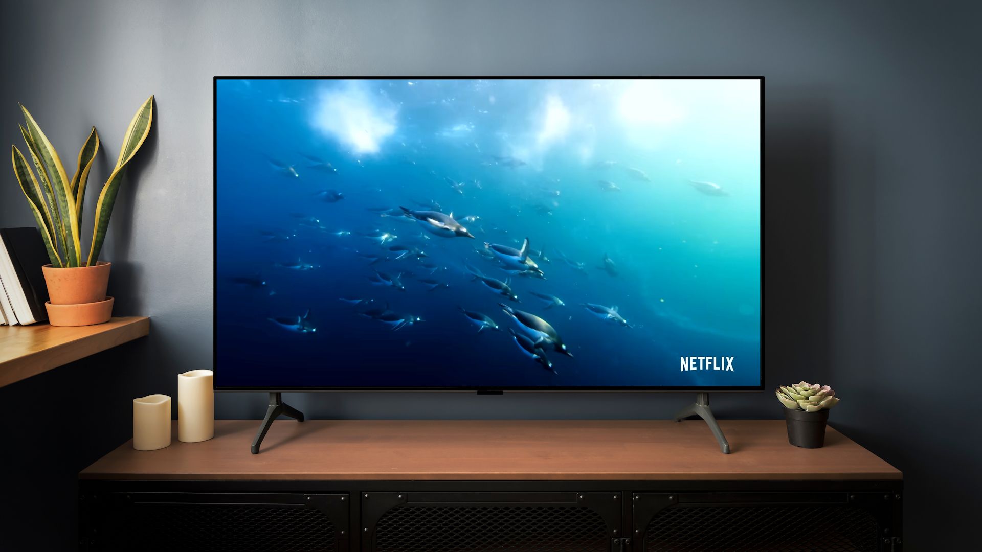 مشاهدة فيلم وثائقي على تلفزيون ذكي Netflix.