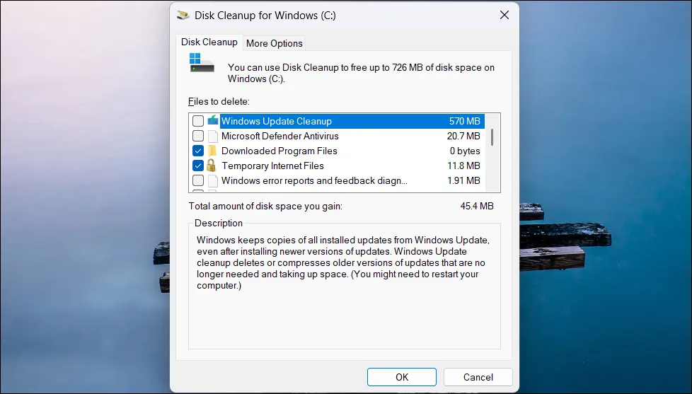Windows 11 dekstop with the Disk cleanup utility running