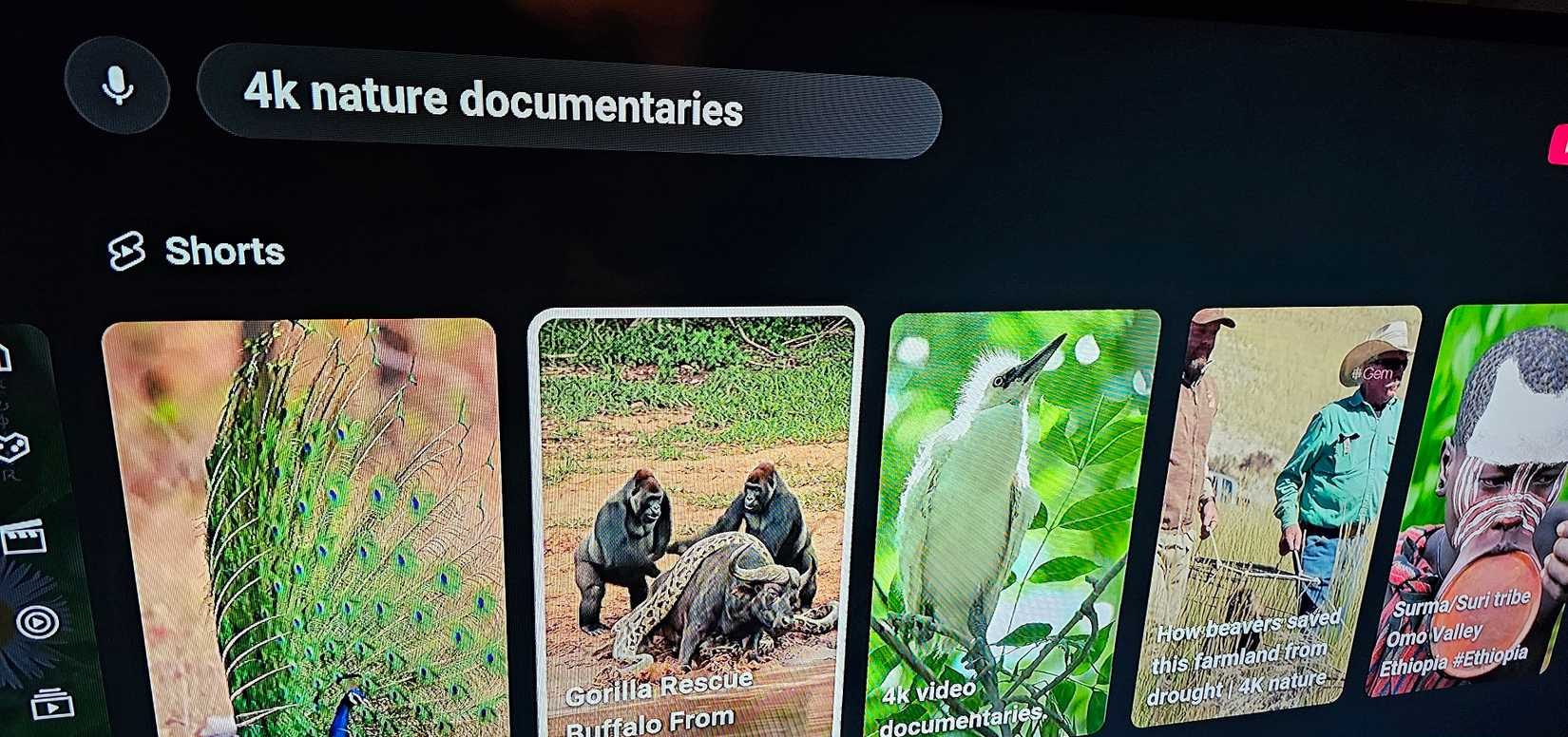 صف من مقاطع YouTube القصيرة التي تحتوي على محتوى تم إنشاؤه بواسطة الذكاء الاصطناعي ضمن نتائج البحث.