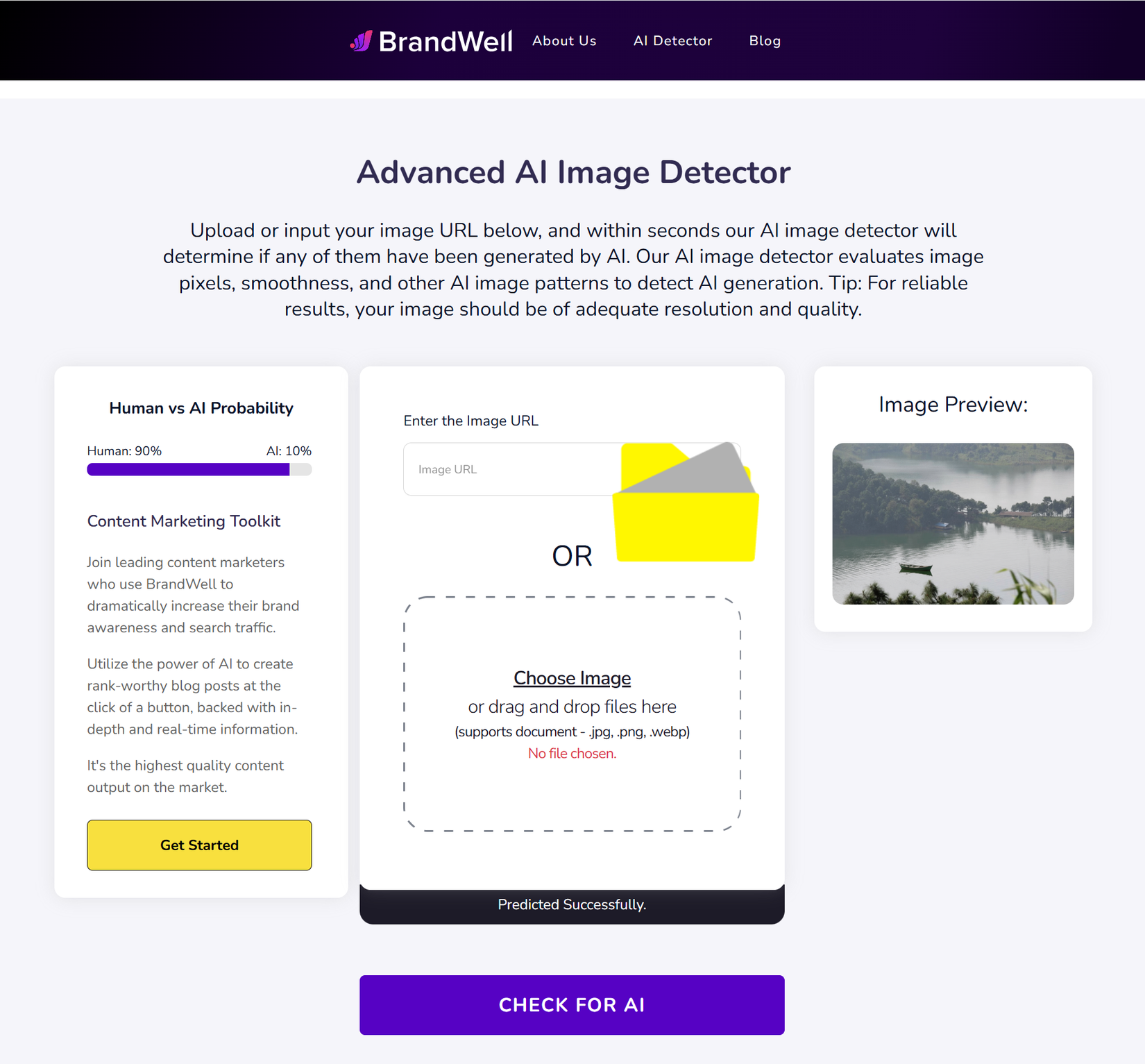 كاشف صور الذكاء الاصطناعي Brandwell.