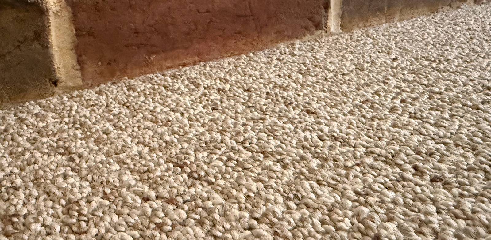 خدعة بسيطة لإزالة وبر الحيوانات الأليفة من الأقمشة بكفاءة تفوق أداء المكنسة الكهربائية: دليل الخبراء