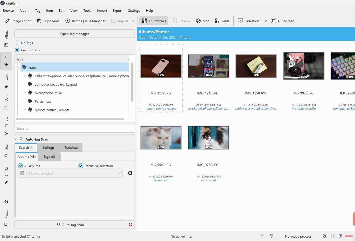 Auto tag screen in digiKam
