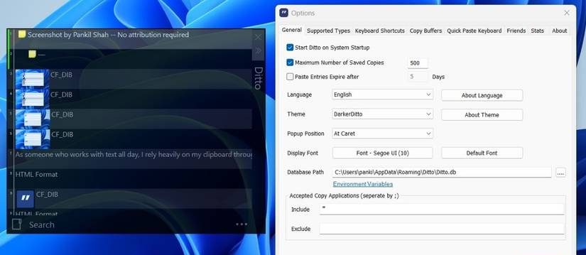 Ditto clipboard with Options menu showing customization options