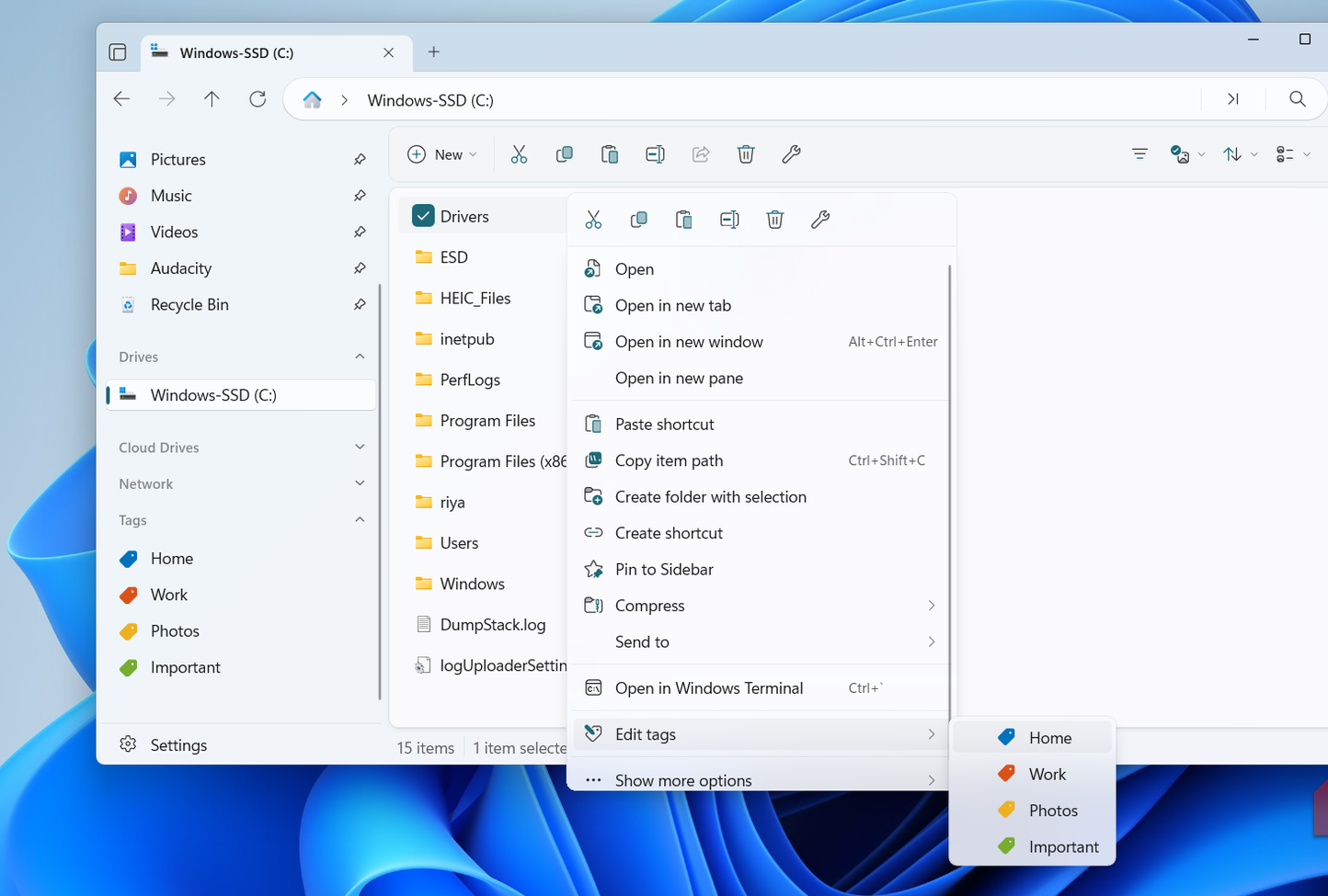 تطبيق الملفات على نظام التشغيل Windows يعرض خيار العلامات