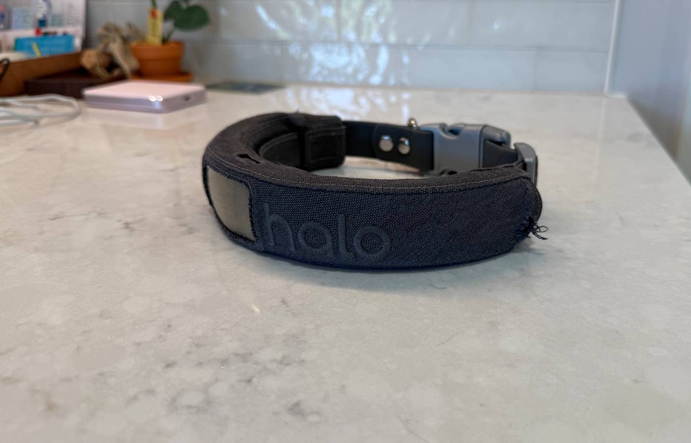 ياقة الكلاب الذكية بسعر 549 دولارًا أنقذتني من تكلفة سياج بقيمة 10,000 دولار: حل مبتكر لاحتواء الحيوانات الأليفة