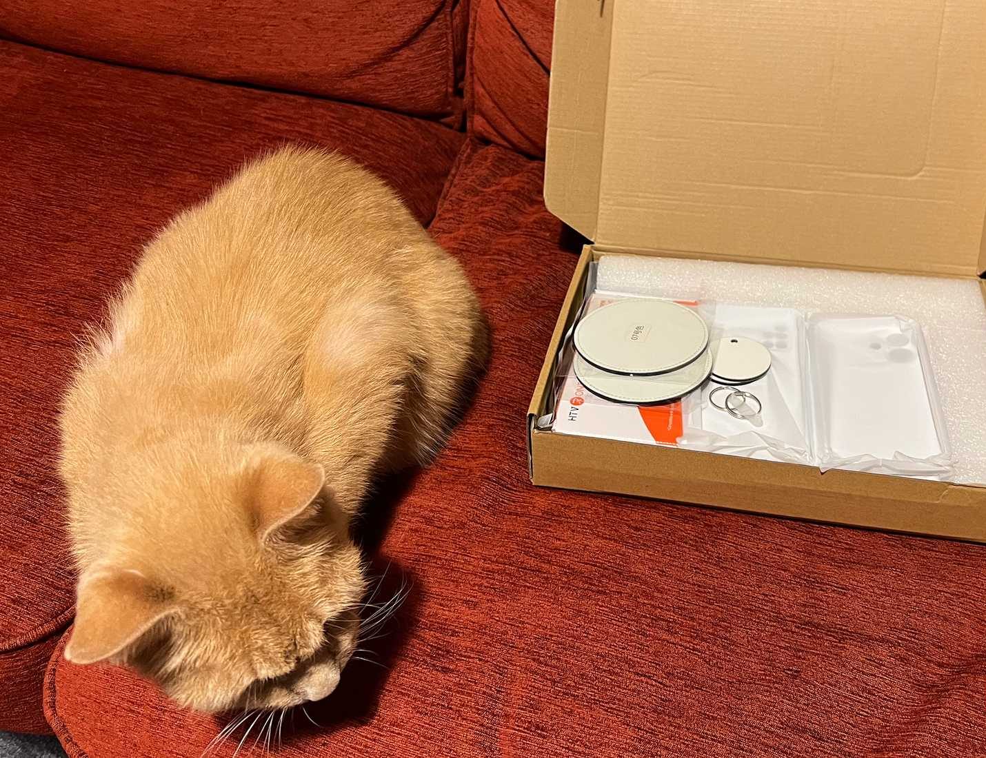 خامات التسامي من HTVRont في صندوق بجوار قطة برتقالية.