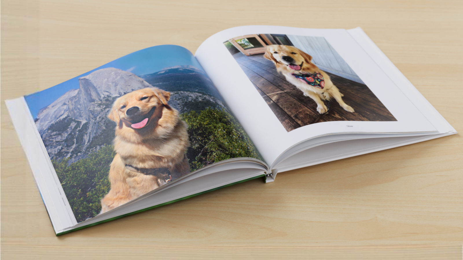 خاصية "Google Photos" القيّمة التي لا تحظى بالتقدير الكافي: حل مثالي لحفظ ذكرياتك الثمينة