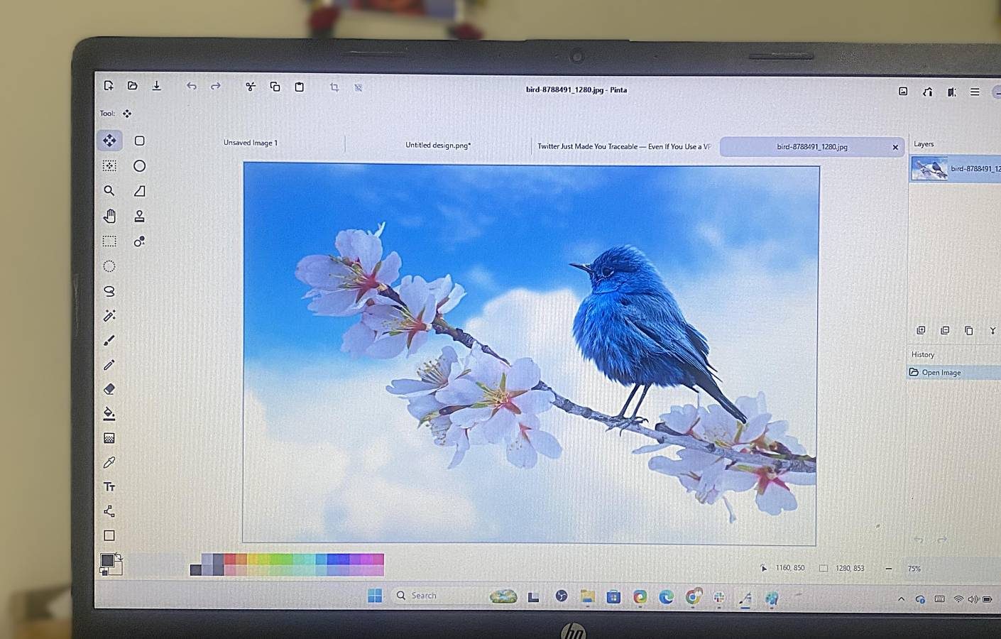 استبدلت Paint.NET بهذه الأداة المجانية مفتوحة المصدر وأحببتها